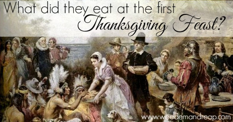 Did The Pilgrims Eat Turkey On Thanksgiving
 What did they eat at the first Thanksgiving Feast