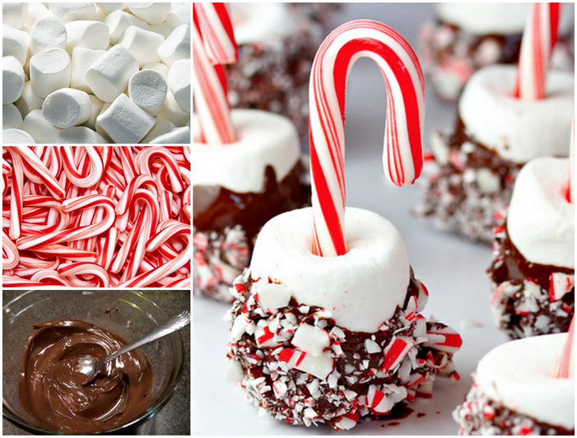Diy Christmas Desserts
 Wonderful DIY Candy Cane Marshmallow Pops
