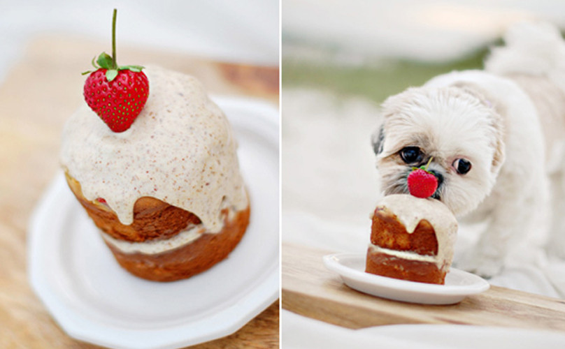 Diy Halloween Desserts
 15 DIY Treats You Can Make For Your Dog This Halloween