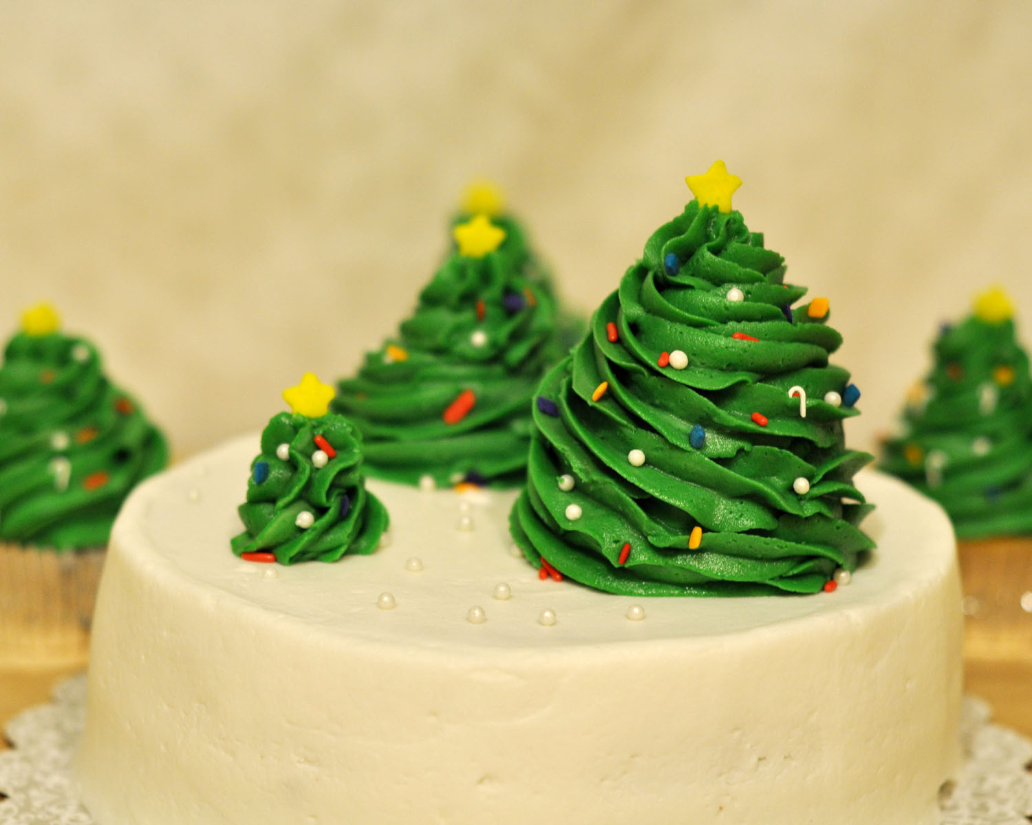 Easy Christmas Cakes
 Beki Cook s Cake Blog Simple Christmas Cake
