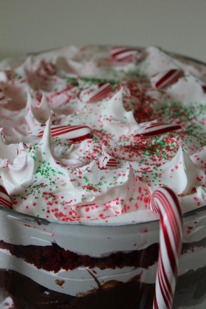 Easy Christmas Desserts Recipes
 Christmas Trifle Recipe Frugal Fanatic