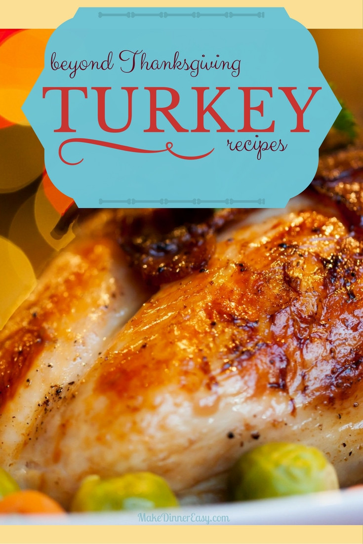 Easy Thanksgiving Turkey Recipe
 Turkey Recipes