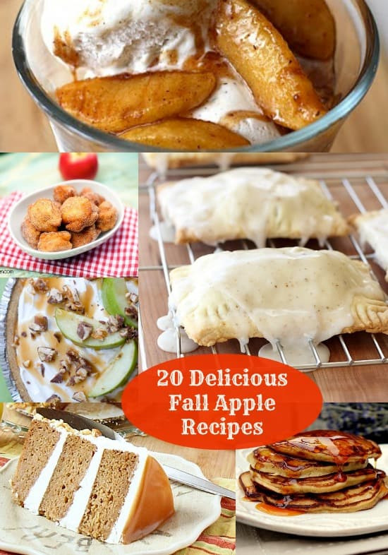 Fall Apple Recipes
 20 of the Best Delicious Apple Recipes For Fall DIY Candy