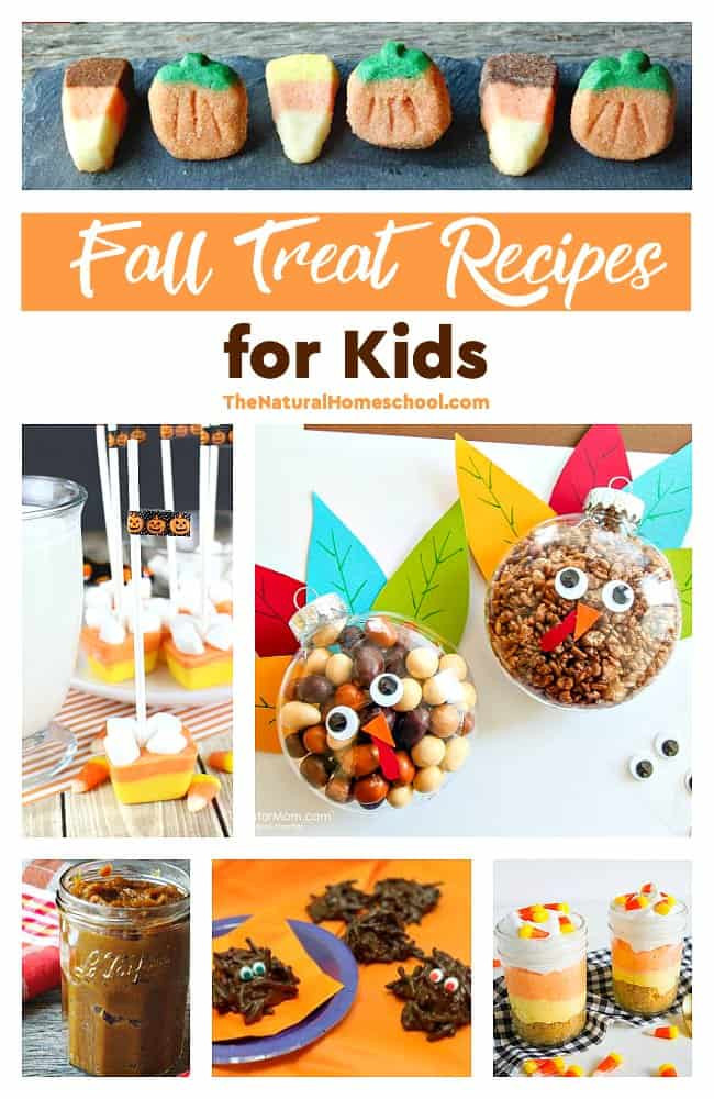 Fall Desserts For Kids
 Fall Recipes for Kids Creative Treats The Natural