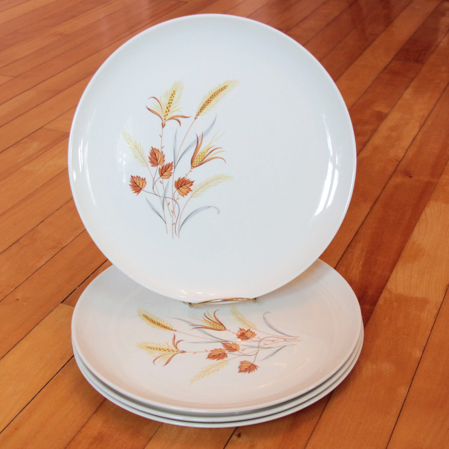 Fall Dinner Plates
 Autumn Harvest Dinner Plates Every Yours Taylor Smith & Taylor