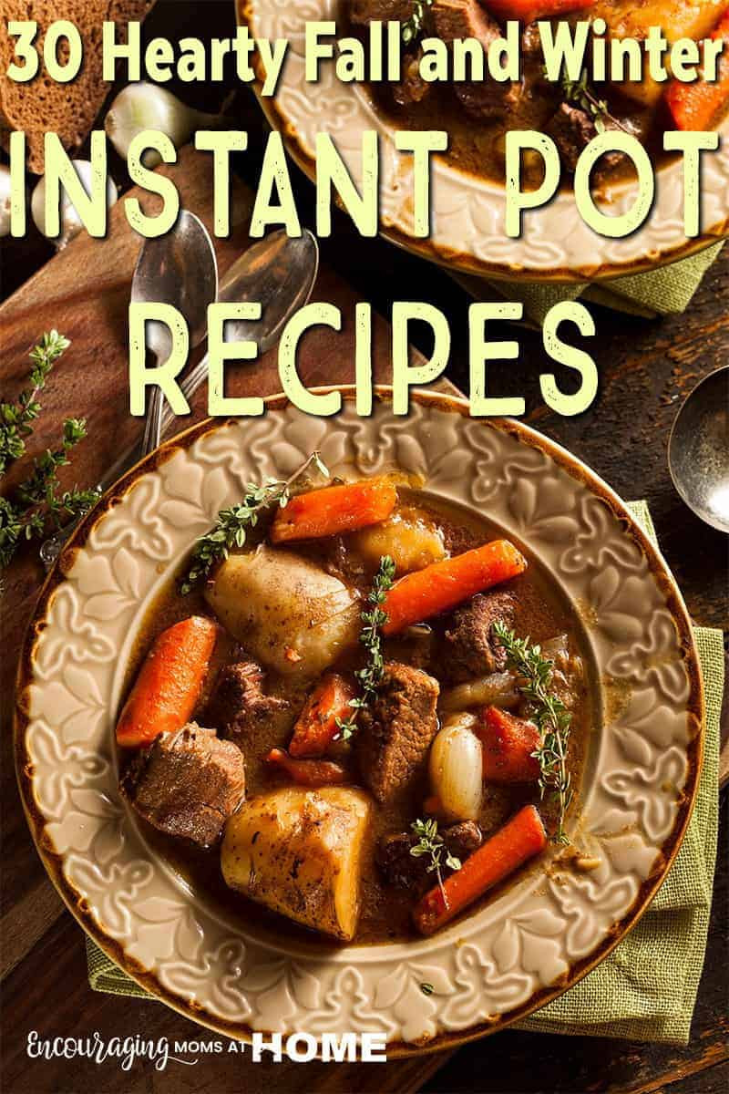 Fall Instant Pot Recipes
 30 Hearty Instant Pot Recipes for Fall and Winter you will