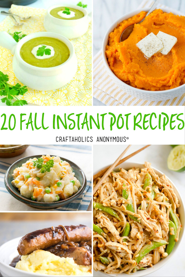 Fall Instant Pot Recipes
 Craftaholics Anonymous