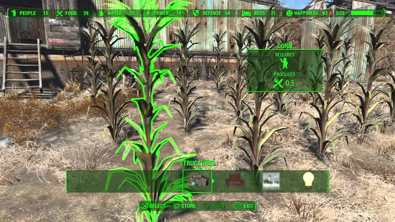Fallout 4 Corn
 Fallout 4 Food Production & Assigning Settlers