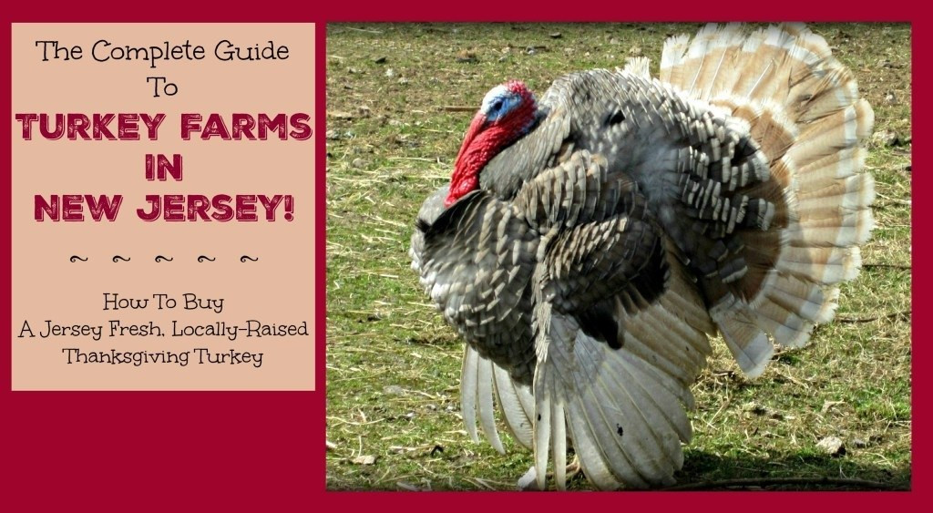 Fresh Turkey For Thanksgiving
 organic turkey farms in nj Archives Things to Do In New