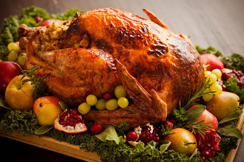 Fresh Turkey For Thanksgiving
 Picking a turkey Frozen or fresh Organic Heritage What