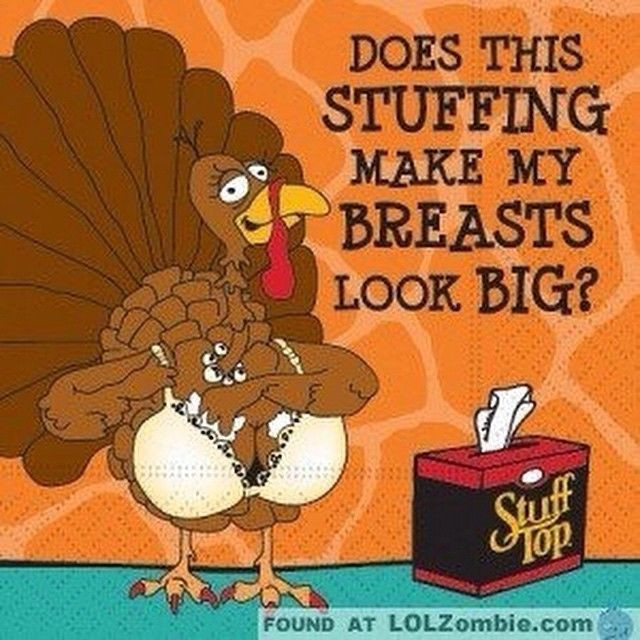 Funny Thanksgiving Turkey
 Best 25 Thanksgiving humor ideas on Pinterest