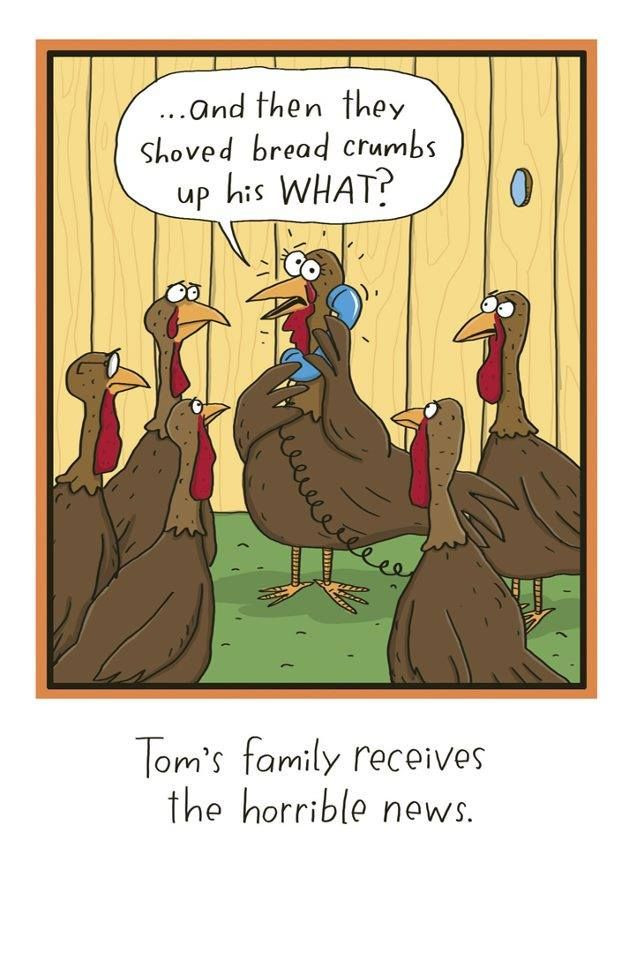 Funny Thanksgiving Turkey
 81 best images about The Far Side on Pinterest