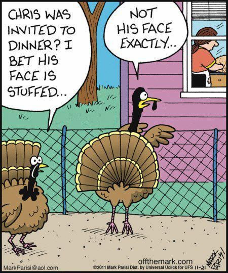 Funny Thanksgiving Turkey
 Funny Thanksgiving ic Quote s and