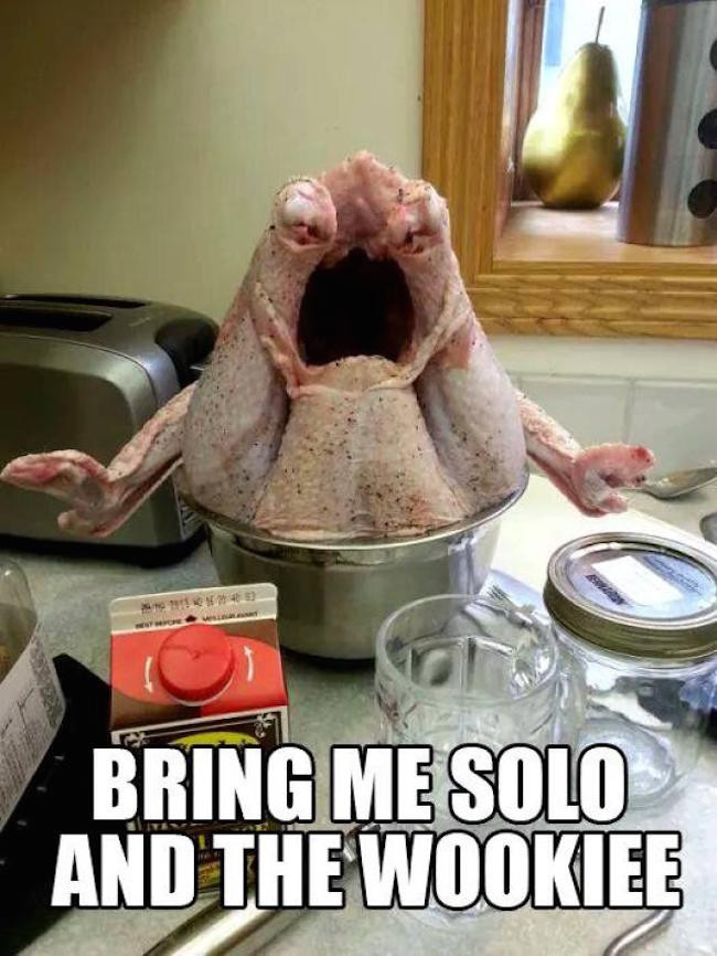 Funny Thanksgiving Turkey
 The Best Funny Today s Internet Thanksgiving