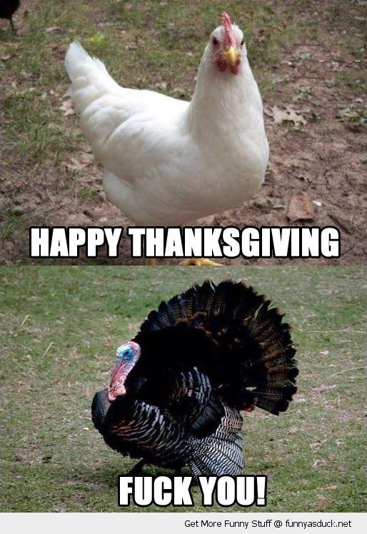 Funny Thanksgiving Turkey
 Daily Morning Awesomeness Thanksgiving Edition 53 s