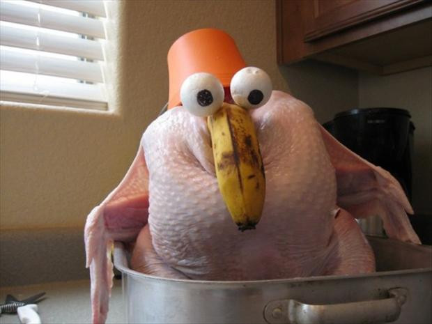 Funny Thanksgiving Turkey
 funny thanksgiving pictures 22 Dump A Day