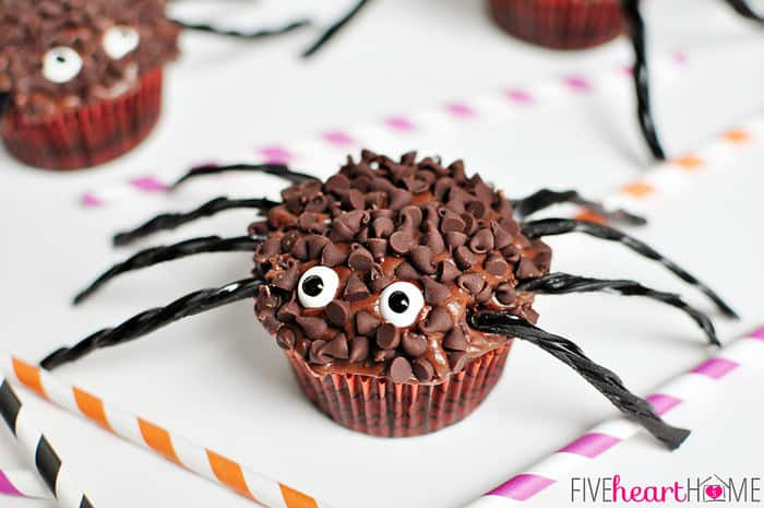 Halloween Spider Cupcakes
 Spider Cupcakes for Halloween