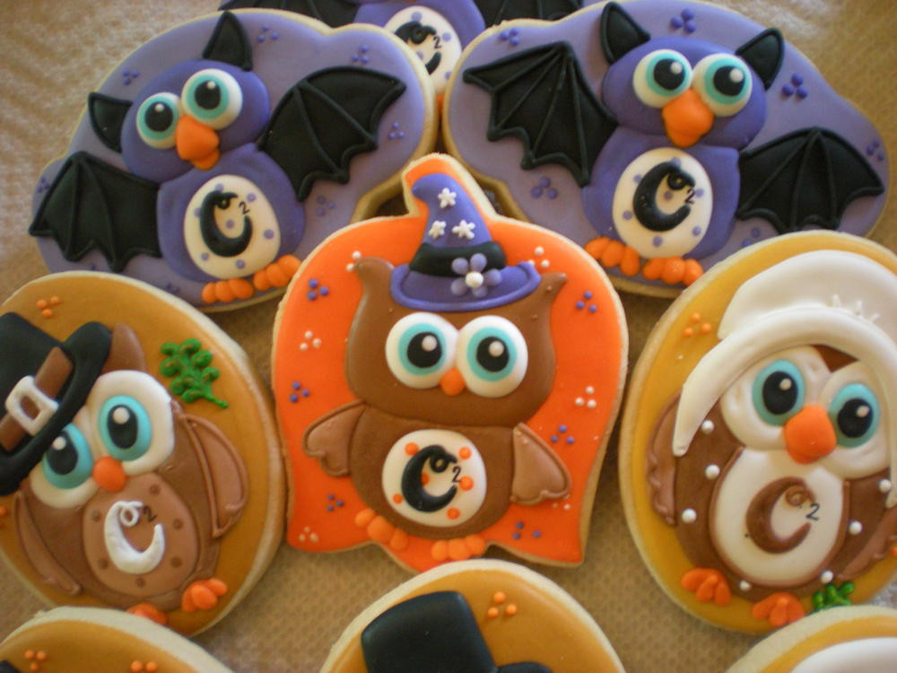 Halloween Themed Cookies
 Halloween Fall Themed Owl Cookies