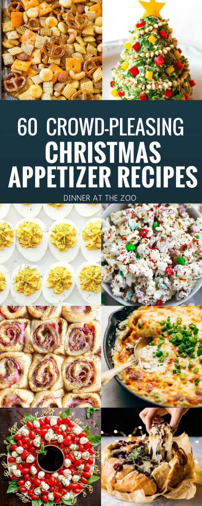 Hot Christmas Appetizers
 60 Christmas Appetizer Recipes Dinner at the Zoo