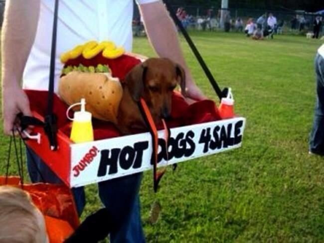Hot Dog Halloween Costume For Dogs
 Best 25 Dachshund costume ideas on Pinterest