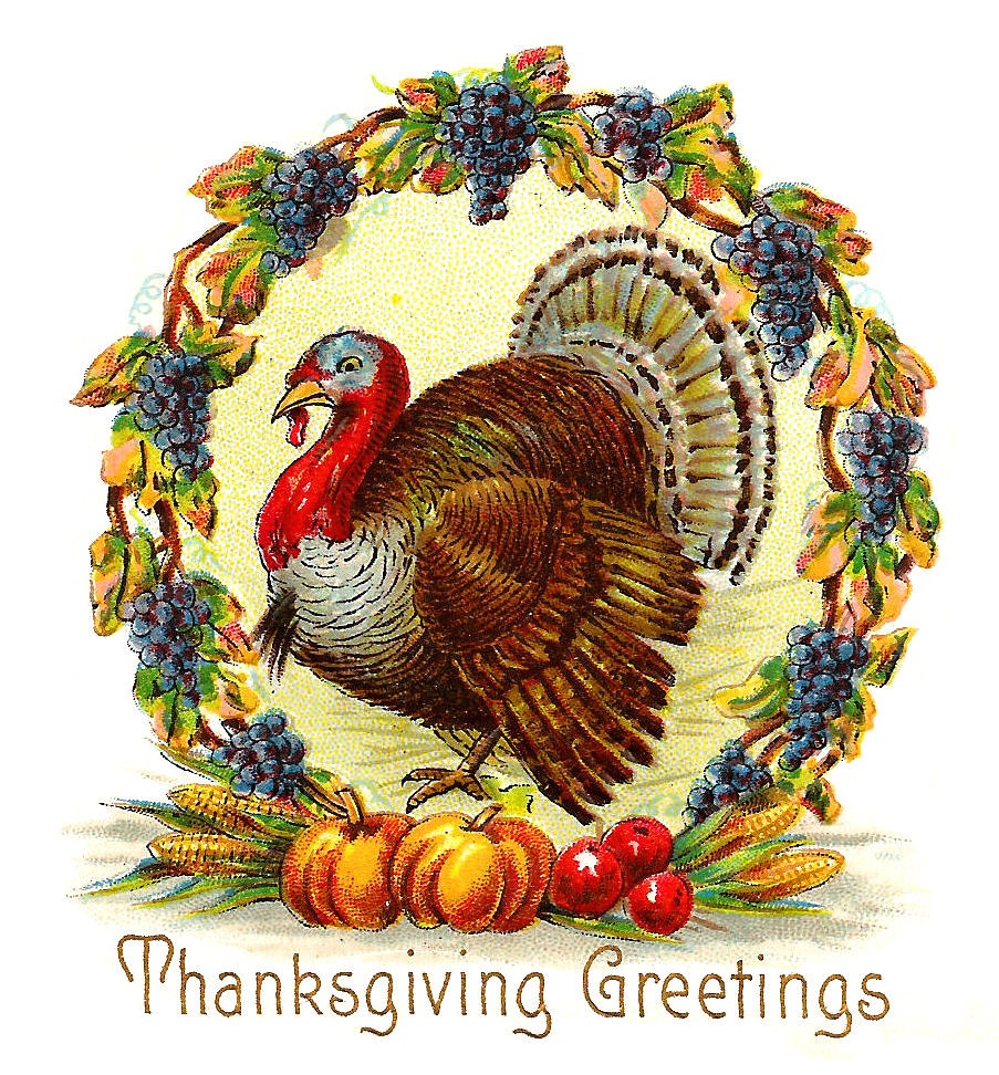 Images Of Thanksgiving Turkey
 Antique Free Thanksgiving Day Graphic