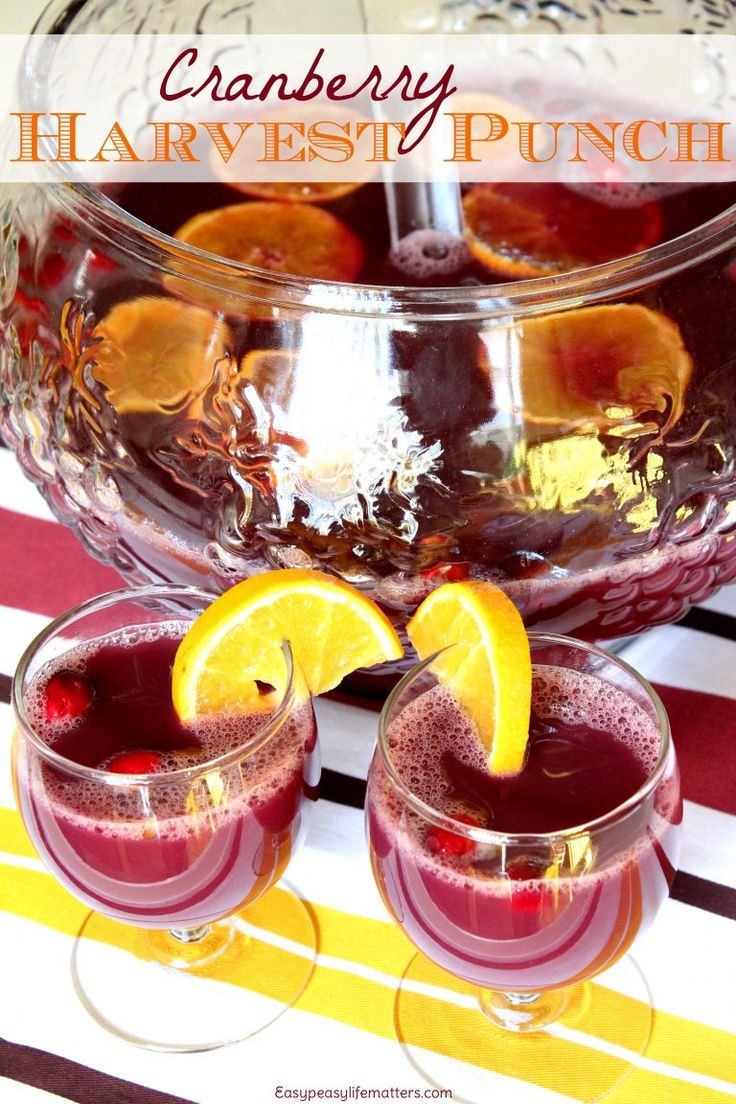 Non Alcoholic Thanksgiving Drinks
 1000 ideas about Non Alcoholic Punch on Pinterest