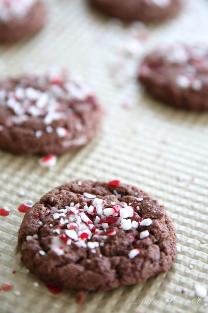 Peppermint Christmas Cookies
 Chocolate Peppermint Cookies Chocolate Mint Cookies