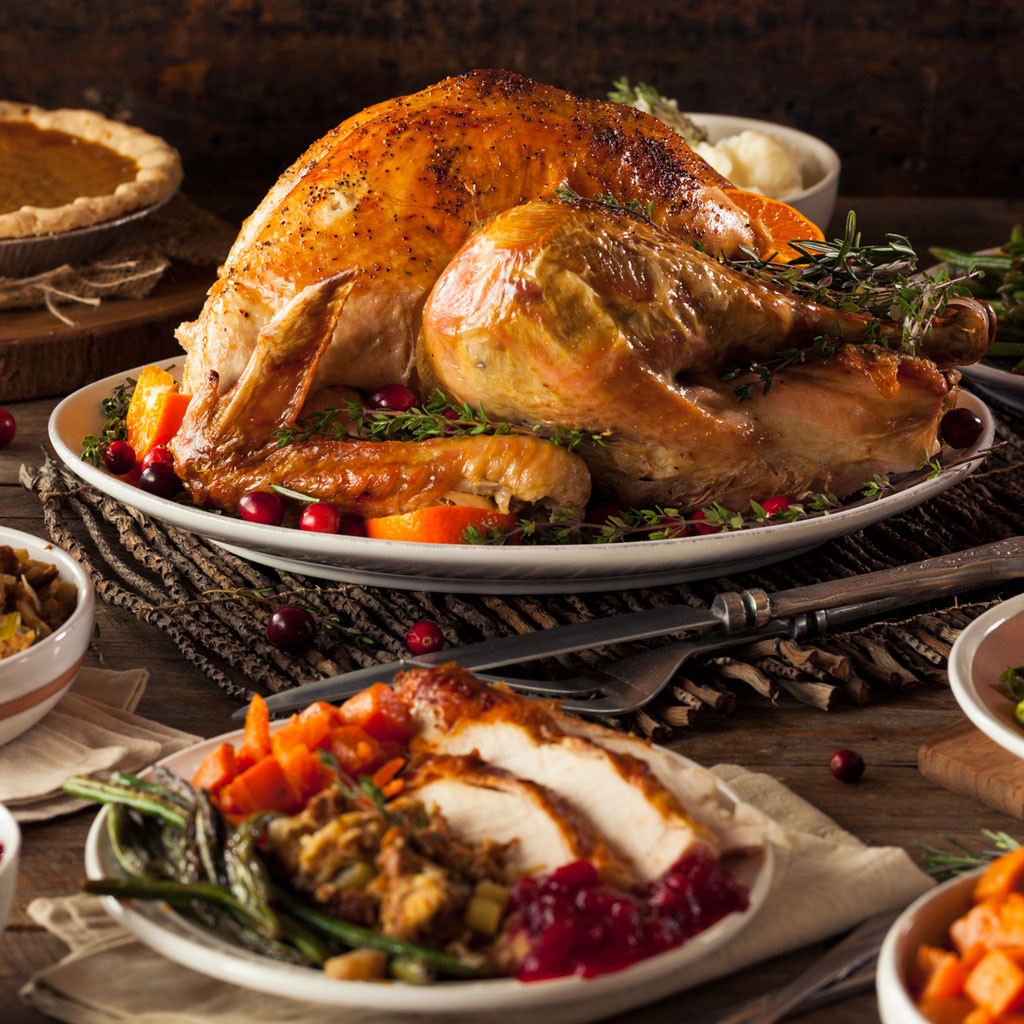 Picture Of Thanksgiving Turkey
 Food Safety Tips for your Holiday Turkey Features