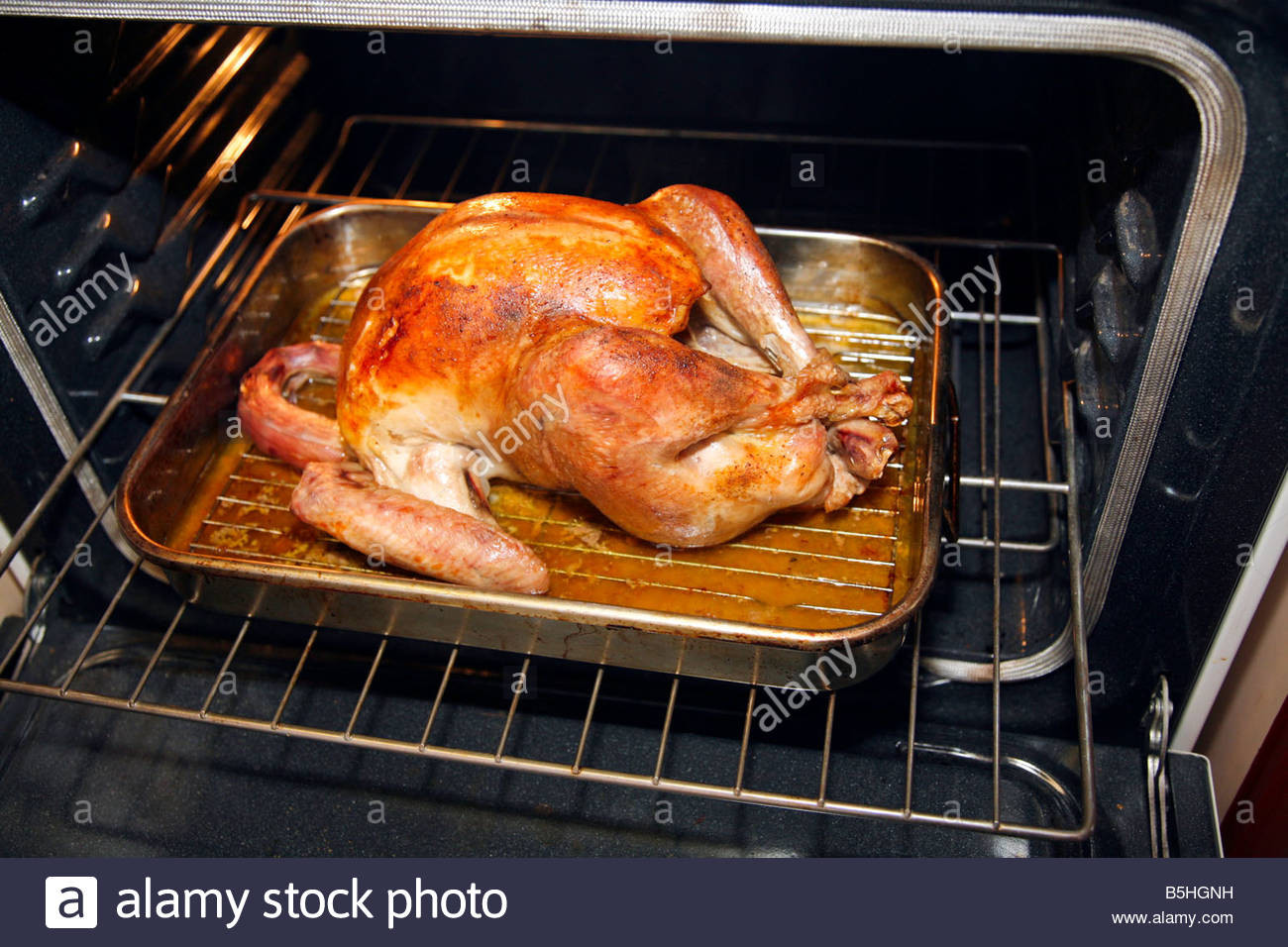 Preparing A Turkey For Thanksgiving
 Turkey in the oven Preparing a Thanksgiving or Christmas