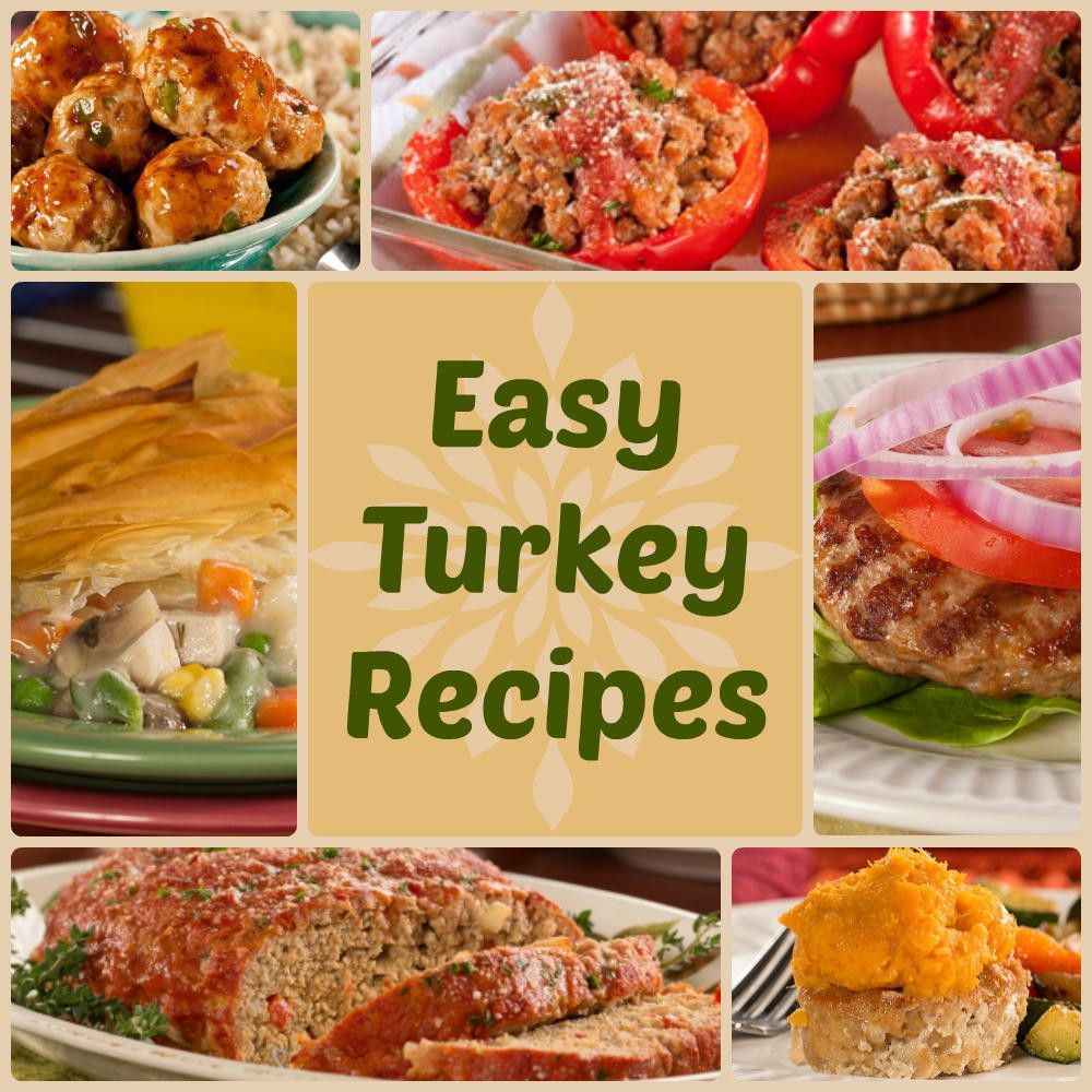 Quick And Easy Thanksgiving Recipes
 Quick & Healthy Dinner Recipes 18 Easy Turkey Recipes