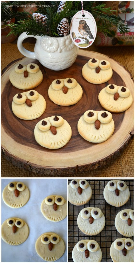 Quick Christmas Cookies
 Quick & Easy Owl Sugar Cookies a hoot to make Christmas