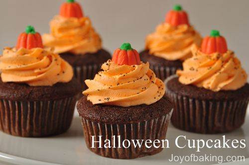 Recipe For Halloween Cupcakes
 Halloween Cupcakes Recipe Joyofbaking Tested Recipe
