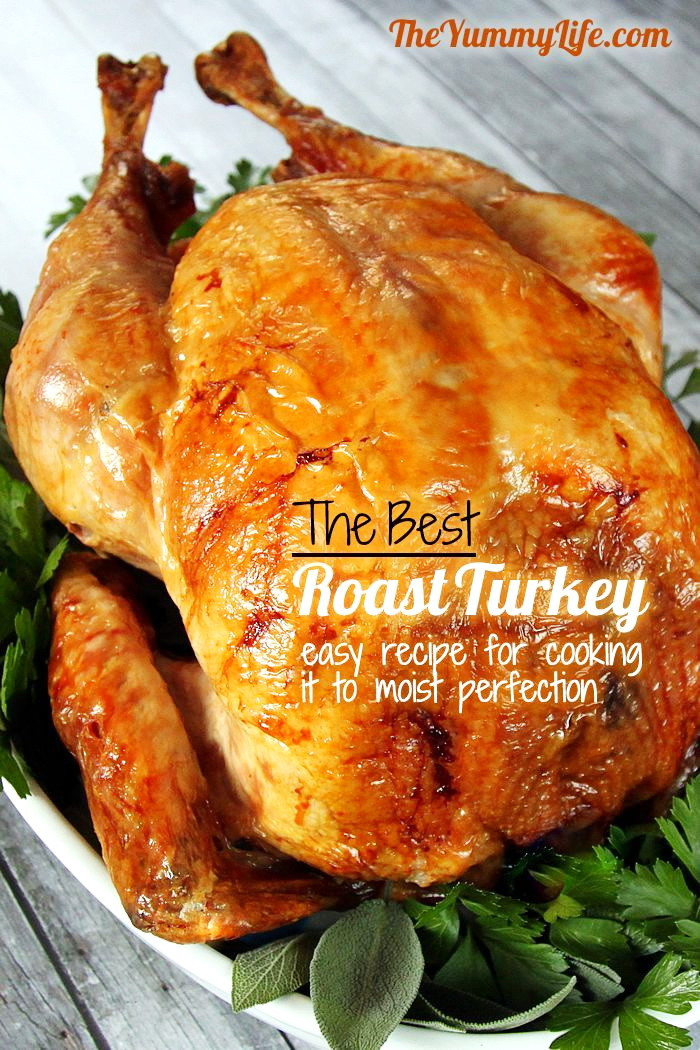 Recipes For Thanksgiving Turkey
 Top 10 Simple Turkey Recipes – Best Easy Thanksgiving