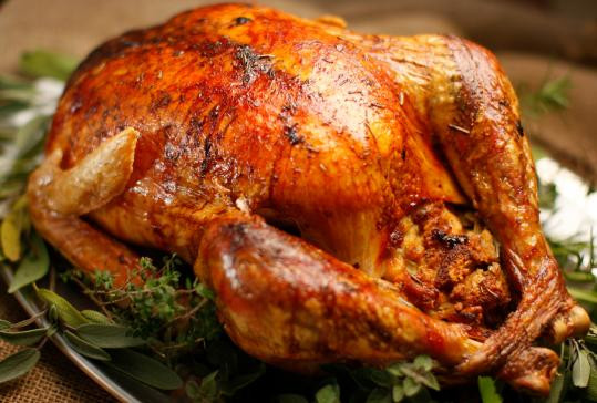 Roast Turkey Recipes Thanksgiving
 Oven Roasted Turkey