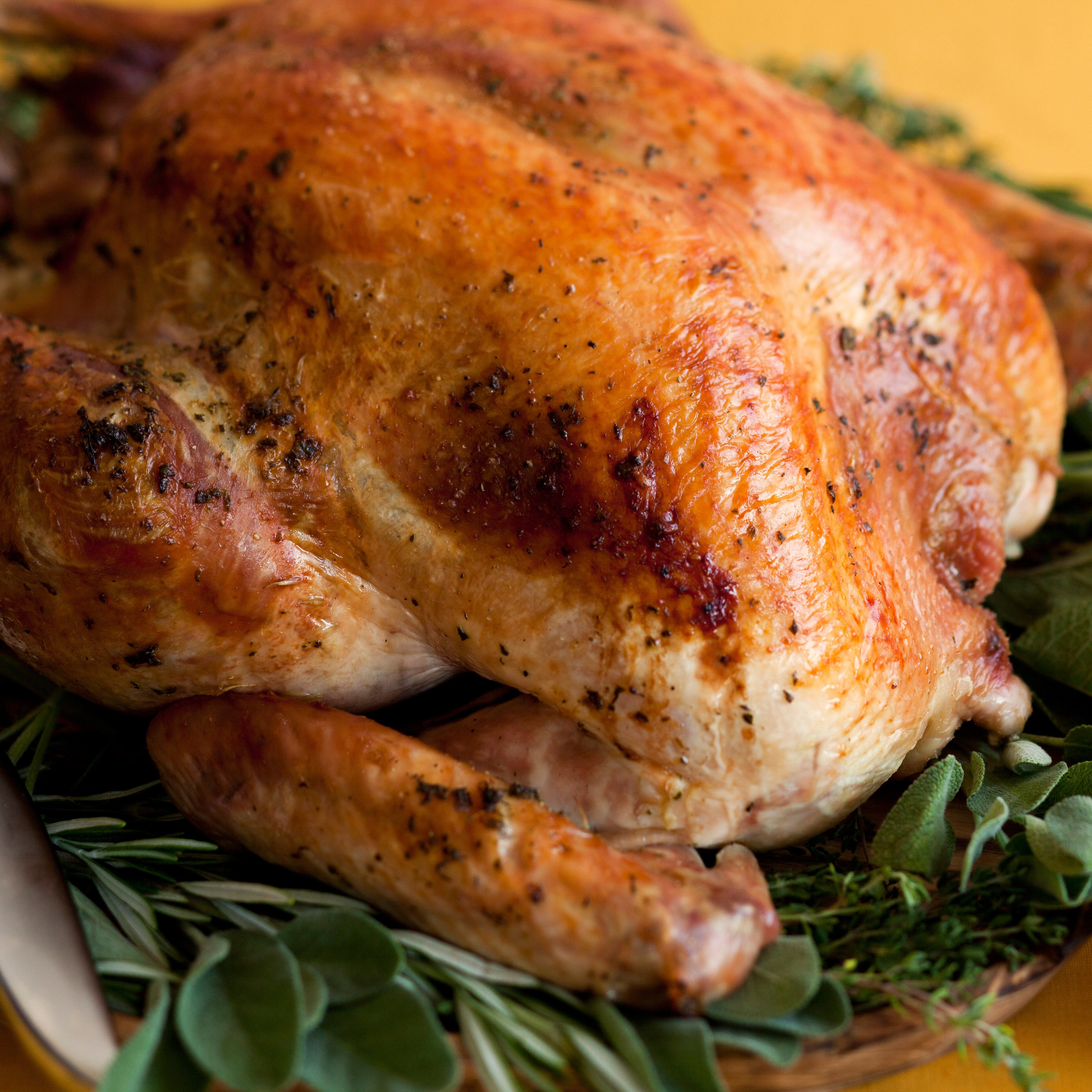 Roasted Turkey Recipes Thanksgiving
 Herb Roasted Turkey recipe