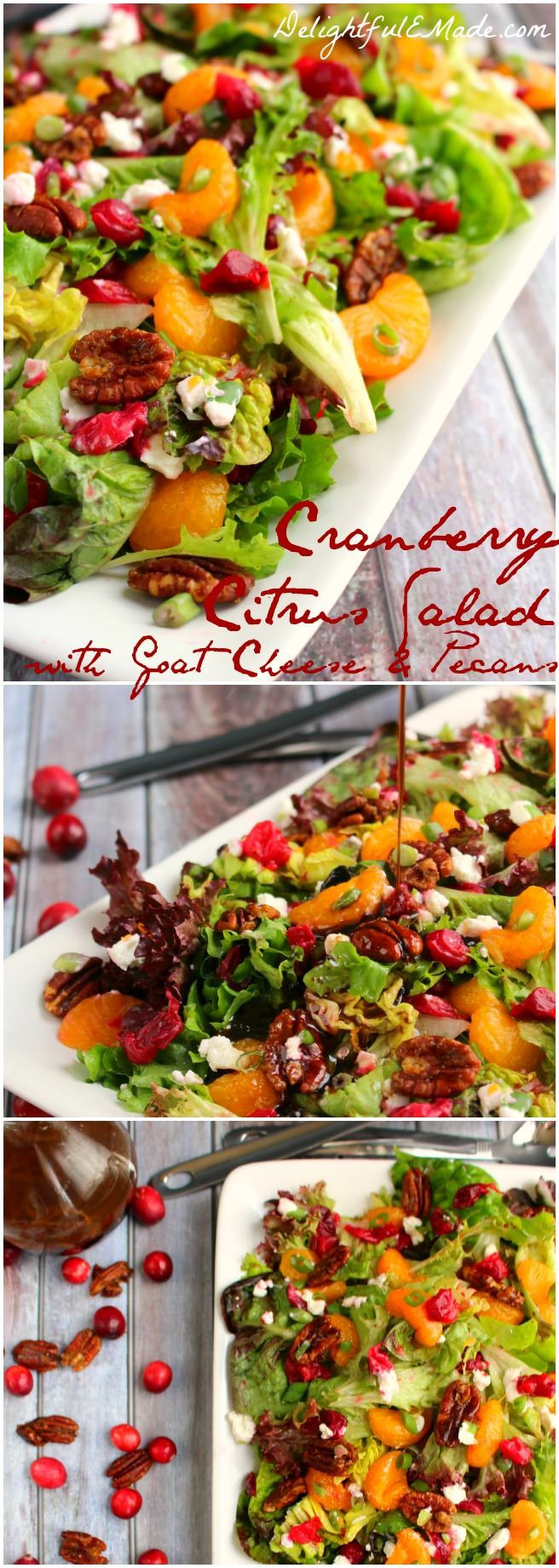 Salad For Christmas Dinner
 253 best images about Recipes for Salads on Pinterest