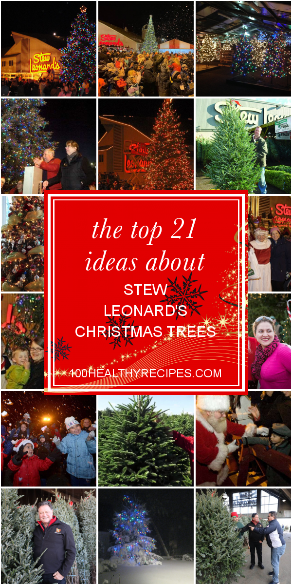 Stew Leonard Christmas Tree / Putting up the christmas ...