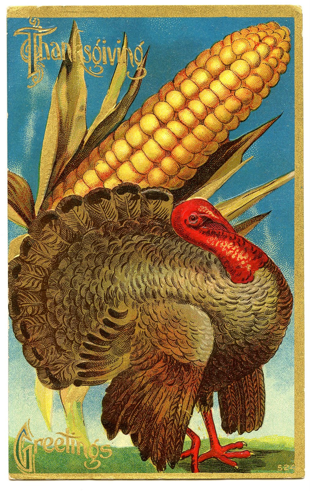 Thanksgiving And Turkey
 Vintage Thanksgiving Clip Art Turkey and Corn The