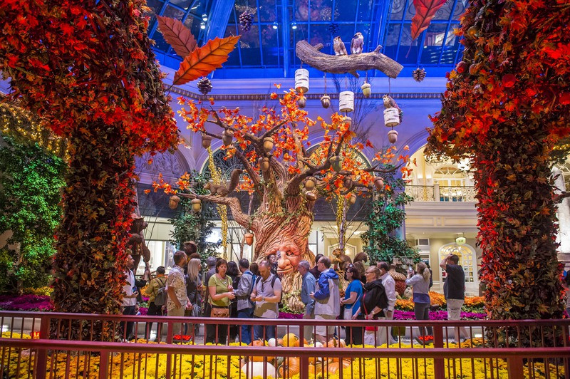 Thanksgiving Dinner In Las Vegas 2019
 The Best U S Cities For A Thanksgiving Getaway In 2019
