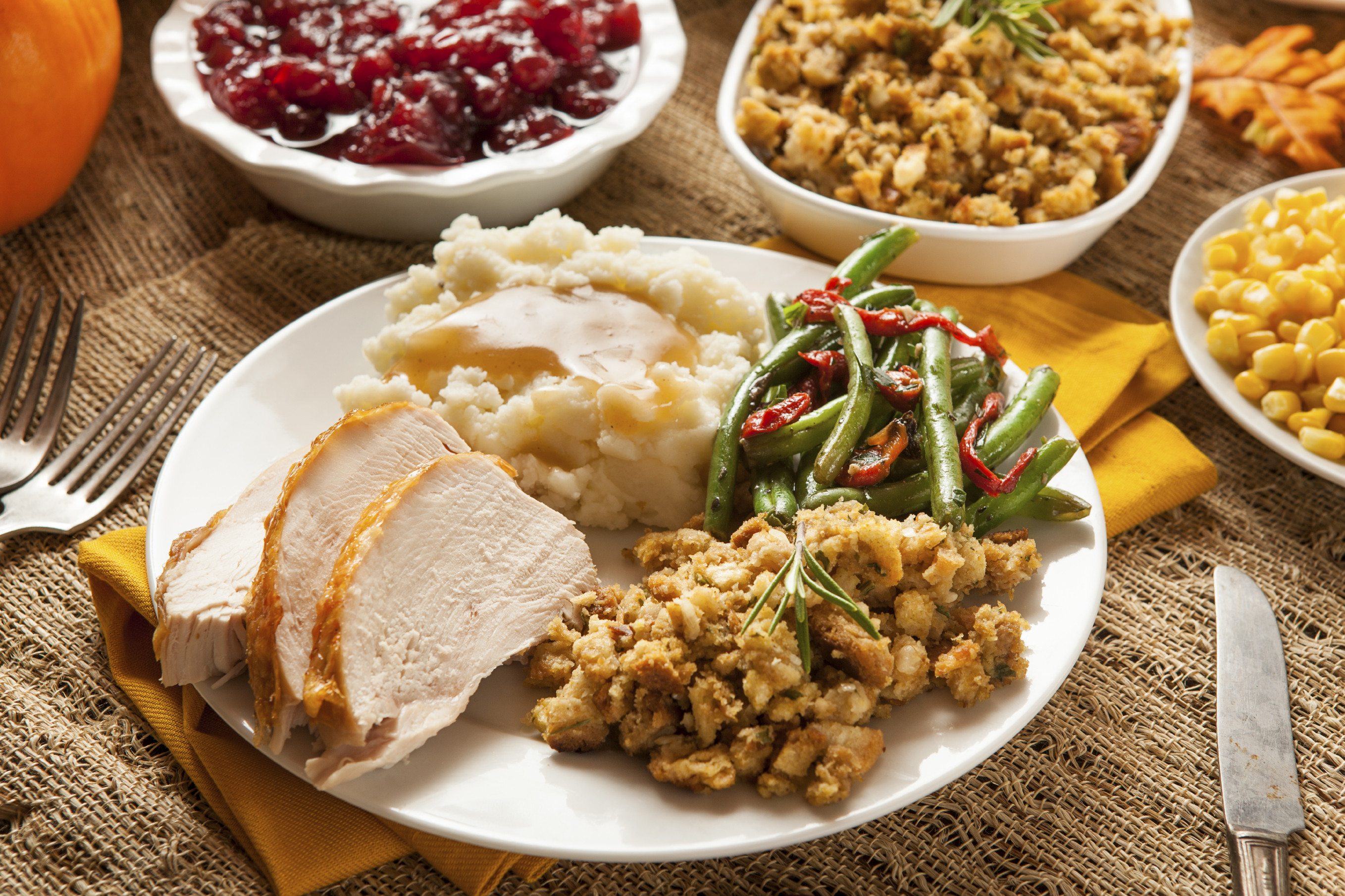 Thanksgiving Dinner Plates
 What s really on your plate at Thanksgiving The Daily