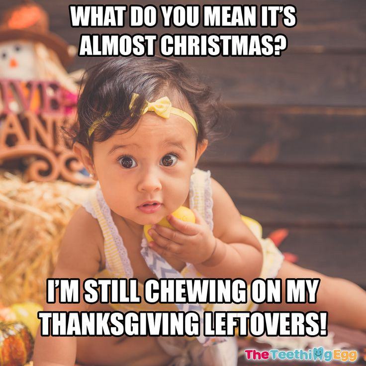 Thanksgiving Leftovers Meme
 43 best images about Best Baby Memes on Pinterest