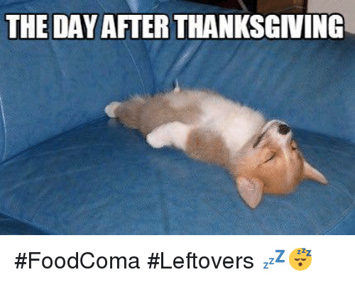 Thanksgiving Leftovers Meme
 ITILL FULL There s Still SO MUCH FOOD 🍗🌽🍰 via