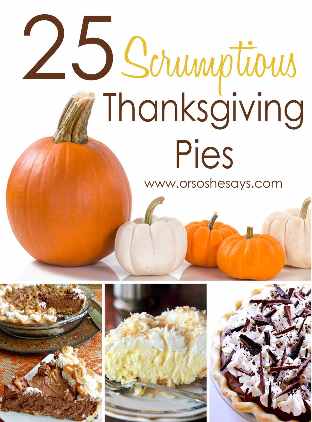 Thanksgiving Pie Recipes
 25 Scrumptious Thanksgiving Pies she Mariah so she