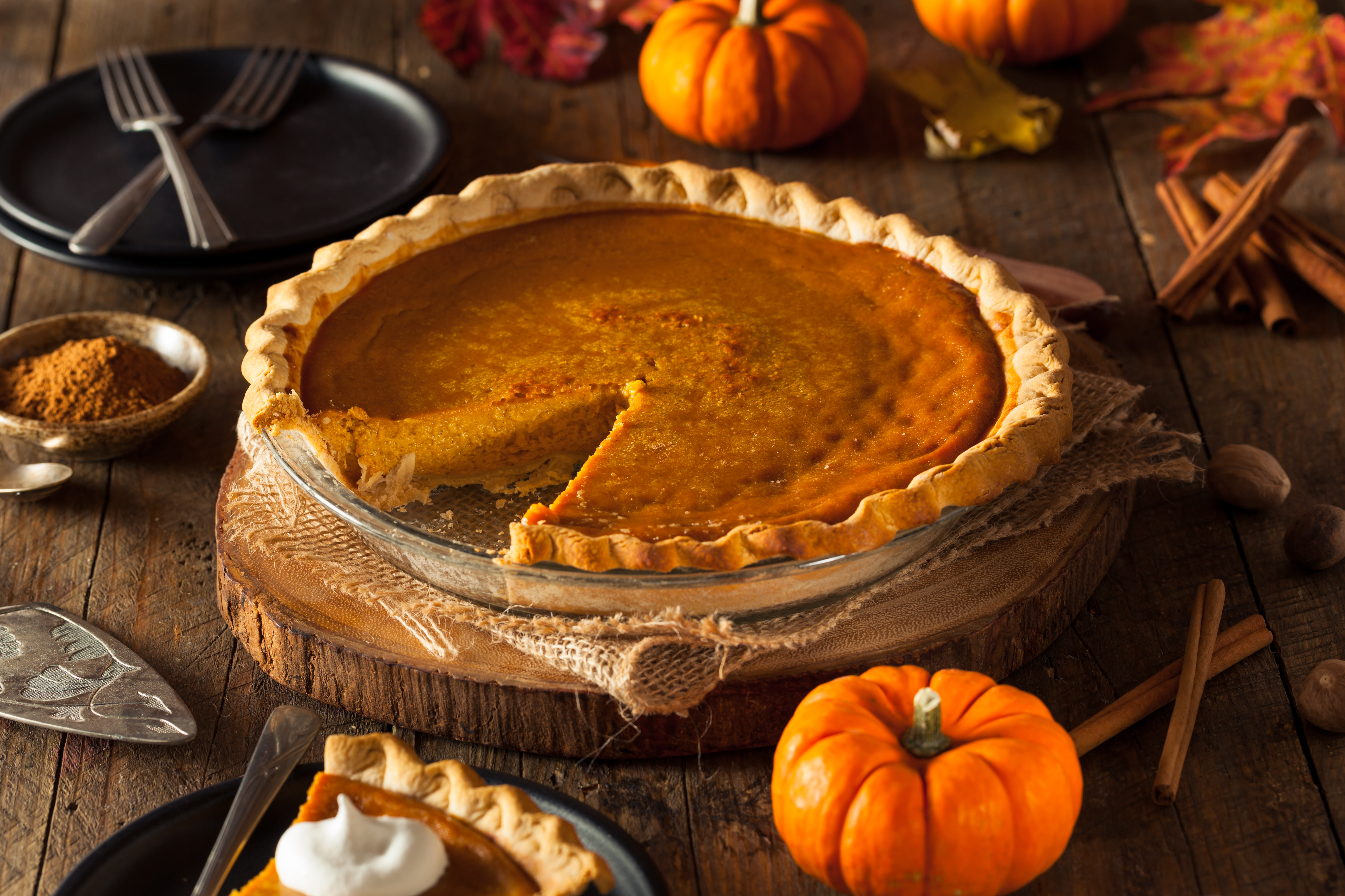 Thanksgiving Pumpkin Pie Recipe
 Blue Ribbon Pumpkin Pie Recipe