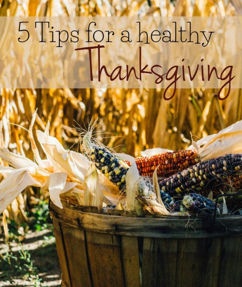 Thanksgiving Tips For Healthy Eating
 5 Tips for a Healthy Thanksgiving Sublime Reflection