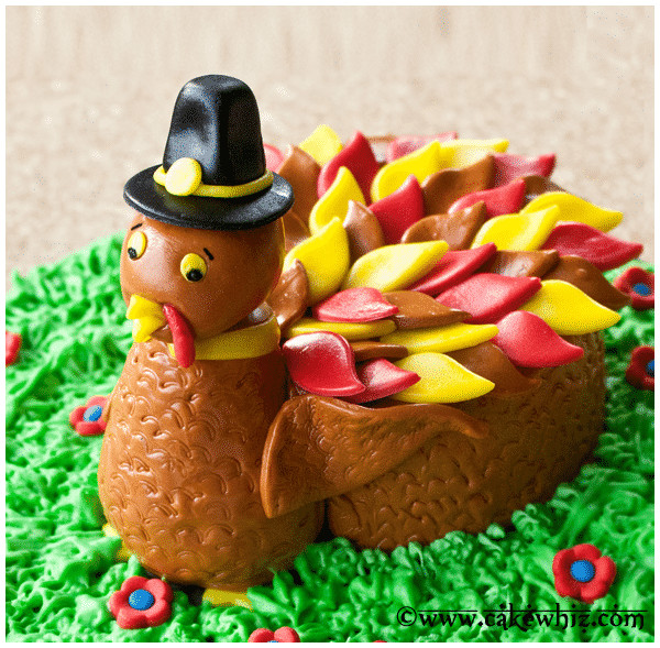Thanksgiving Turkey Cake
 Turkey Cake CakeWhiz
