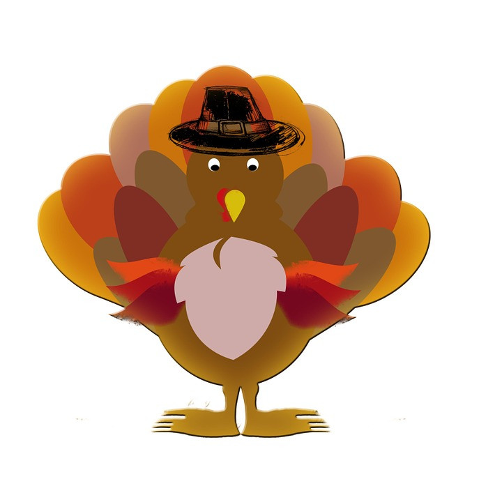 Thanksgiving Turkey Cartoon Images
 Turkey Thanksgiving Cartoon · Free image on Pixabay