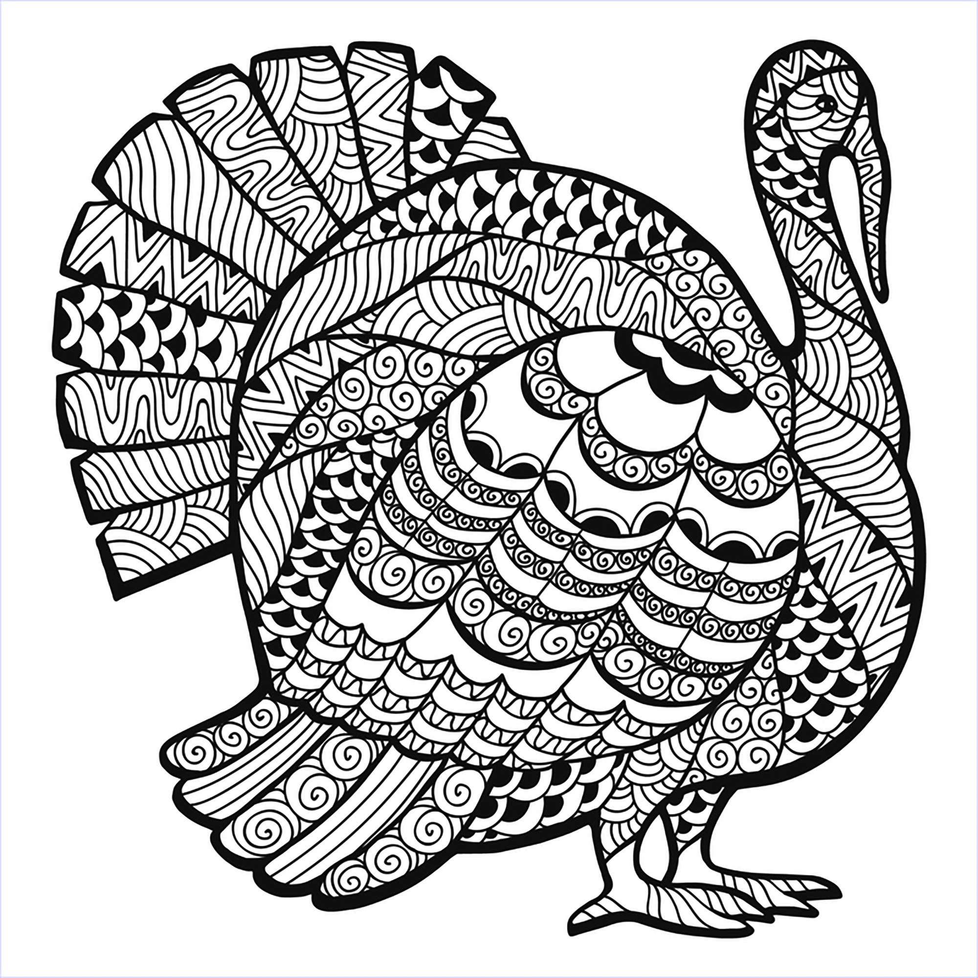 Thanksgiving Turkey Coloring Page
 Thanksgiving Coloring Pages For Adults to and