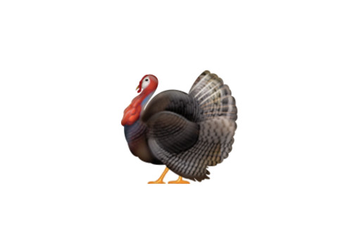 Thanksgiving Turkey Emoji
 Emoji Blog • 🍂 Where is the Thanksgiving Turkey emoji