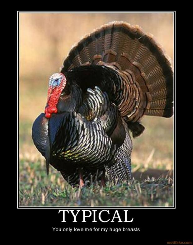 Thanksgiving Turkey Images Funny
 11 Turkey Memes That Will Get You Ready to Blast Those Birds